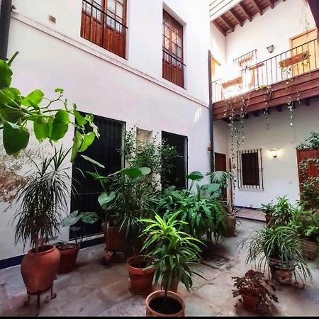 Coco Home Sevilla Urban Apartment Экстерьер фото